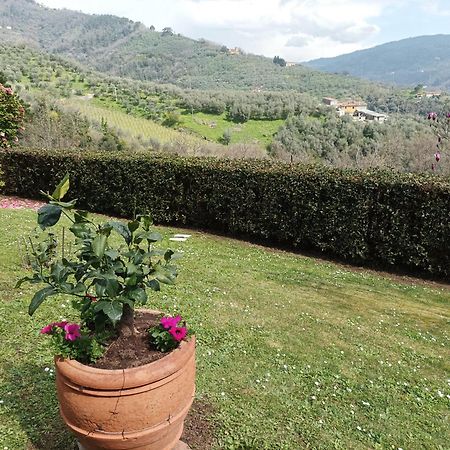 Villa Camelia Tuscany ペーシャ エクステリア 写真