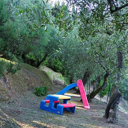 Villa Camelia Tuscany ペーシャ エクステリア 写真