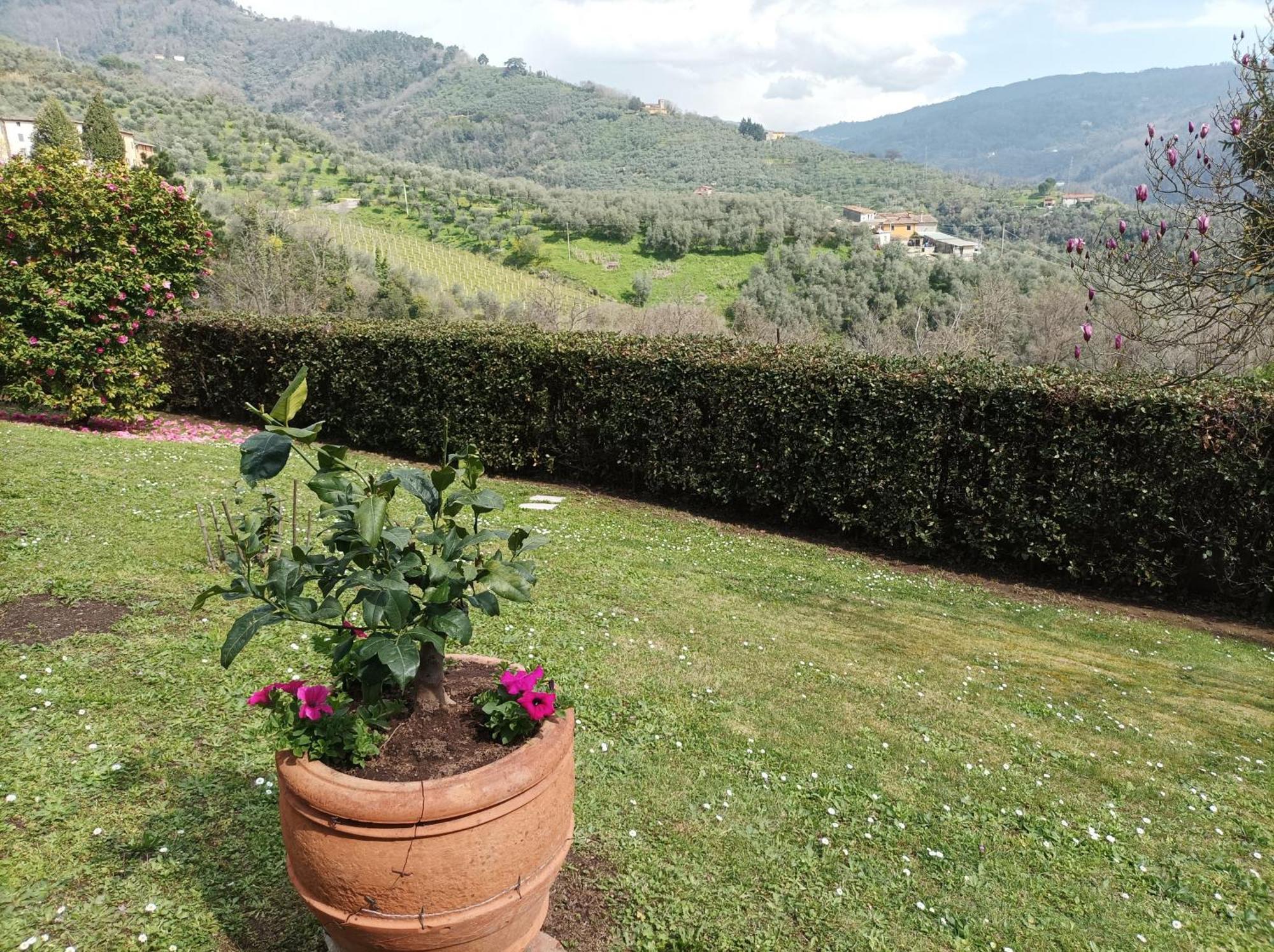 Villa Camelia Tuscany ペーシャ エクステリア 写真